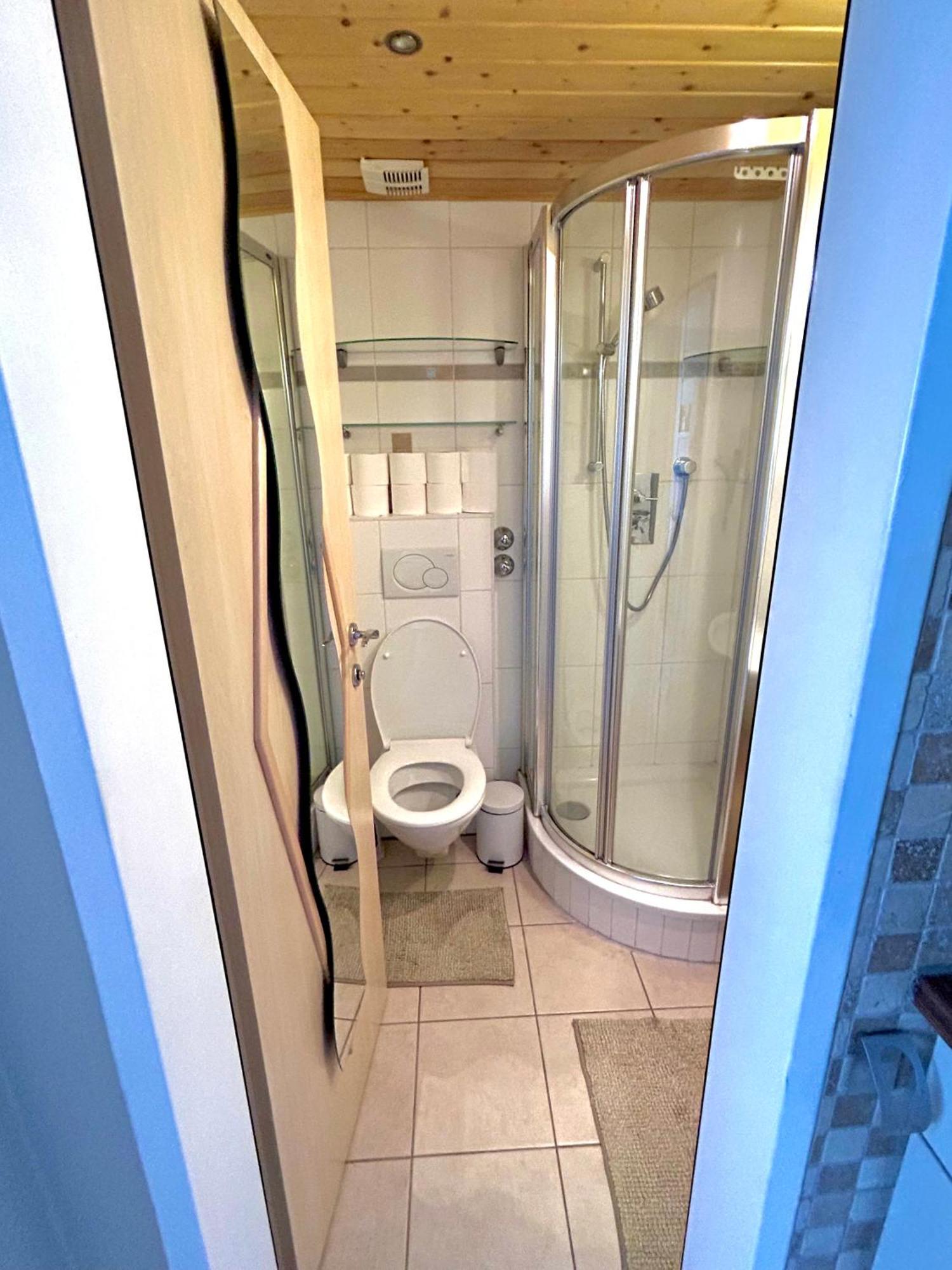 Alpine Apartment Schladming Mit Sauna Und Pool 외부 사진